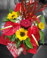Gallery Cliente