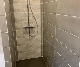 BLS image 14