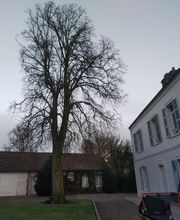 Nature Domestiquee image 4