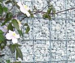 Herbert Bronder Gartengestaltung Bild 7