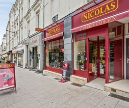 Nicolas Angers image 1