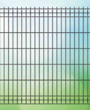 Lorraine Fers image 6