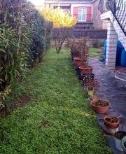 Multi Services Occitanie image 8