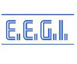 EEGI SARL image 2