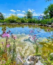 Wildblumendienst Bild 12