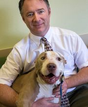 Topaz Veterinary Clinic image 14