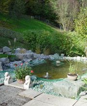 Krokus Gartenpflege GmbH Bild 8