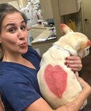 Parkwood Animal Hospital & Boarding image 7