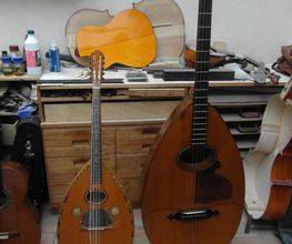 Seitz Ulrich image 2