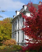 Rütimann Rechtsanwälte I Anwaltskanzlei in Winterthur für Bau-, Erb- und Scheidungsrecht Bild 1