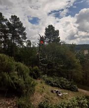 Mickael élagage image 4