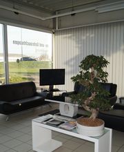 Clou Auto-Service Henke Bild 3