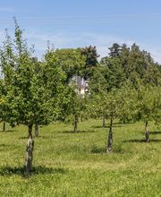 Nicolas Varidel Nature+Jardins Bild 9