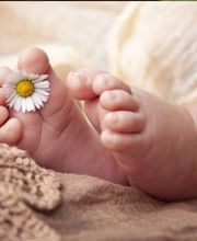 Der Photoshop GmbH Bild 25