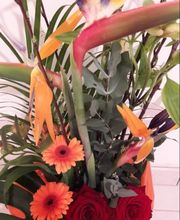 Bielsa Christine image 2