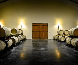 VIGNOBLES MARCEL PETIT image 3