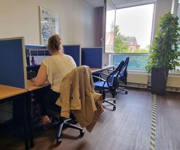 Arbeitsplatz der Teilnehmer:innen und ein offenes Fenster neben einer großen Topfpflanze.