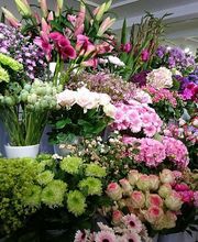 P'tite fleur image 1