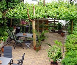 Pension Steinbergsblick Bild 3