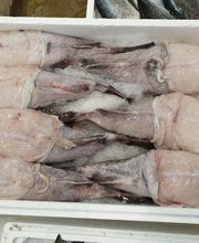 Gilles et Compagnie image 5