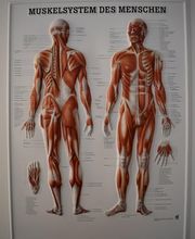 TAMENA – Praxis für ganzheitliche Gesundheit & Wohlbefinden Bild 8