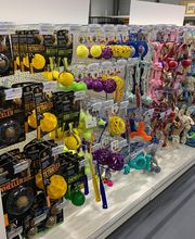 ZOOMALIA Revel 31 | Animalerie image 7