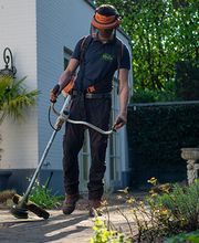 Gartenservice Motz Bild 2