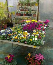 Les Jardins D'Alexandre image 8