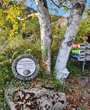 NaturImpuls Gesundheitspraxis Bild 8