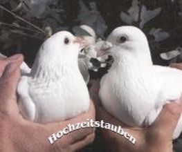 Regula und Urs Burlet Bild 7