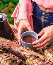 Mycelio Vona Spartano Industries Bild 5