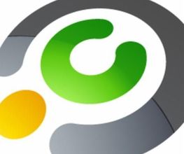 Org Infor image 2