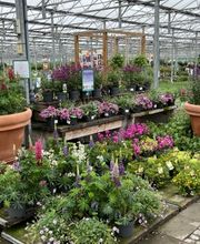 Plantencentrum Velden afbeelding 3