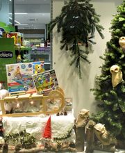 Gallery Cliente
