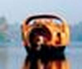 Vielfalt Indien GmbH Bild 11