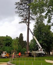 ARNAL SoFoCev image 1