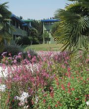 Millet Parcs et Jardins image 4