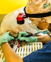 Clinica Veterinaria Leonardo da Vinci immagine 9