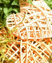 Haushaltshilfe-Bielefeld Bild 2