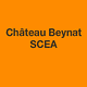 Chateau Beynat