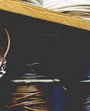 Hauri Elektroinstallationen Bild 5