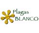 PLAGAS BLANCO
