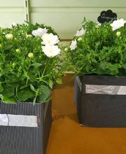 Art et Fleurs image 16