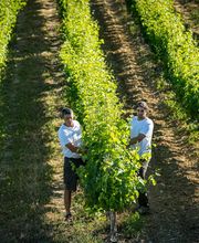 Caveau de Jalès image 4