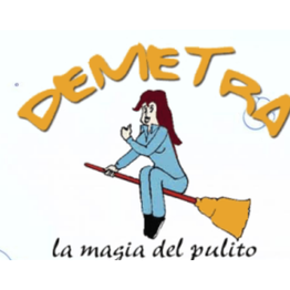 Impresa di Pulizie Demetra logo