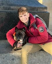 Focus Dogs Hundeschule KlG Bild 14