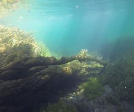 Azur Fluides SAS image 4
