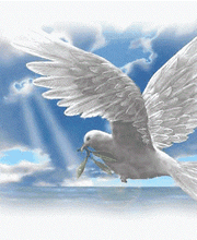 Cabinet Kundaria Naturopathe avec diplôme fédéral en MTC Bild 1