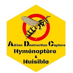 ADC Hyménoptère et Nuisible