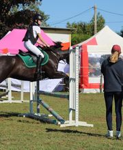 Ecuries Lalye GUILLAUMEE CHANTAL image 2